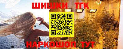 МДПВ Татарск