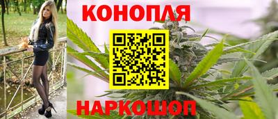 МДПВ Татарск
