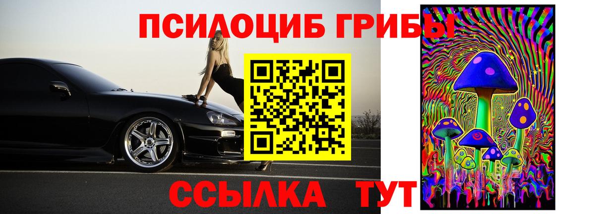 Черногорск  Псилоцибиновые грибы мицелий  Вход с VPN 